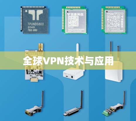 全球VPN技术与应用