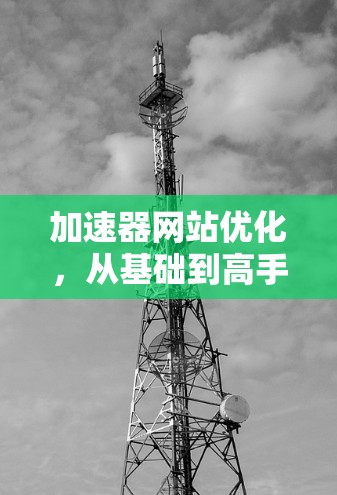 加速器网站优化，从基础到高手