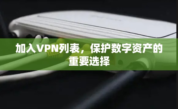 加入VPN列表，保护数字资产的重要选择
