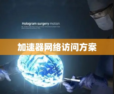 加速器网络访问方案