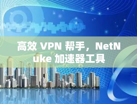 高效 VPN 帮手，NetNuke 加速器工具