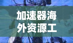 加速器海外资源工具 是指用于快速访问外部资源的工具，通常指的是那些不需要立即在线访问的资源获取工具。这些工具可以帮助用户快速获取外部资源，包括但不限于