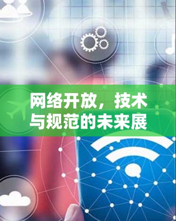 网络开放，技术与规范的未来展望