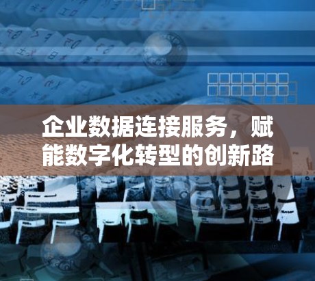 企业数据连接服务，赋能数字化转型的创新路径