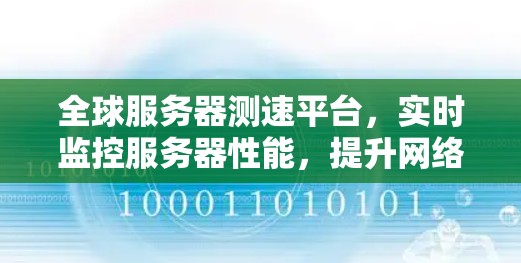 全球服务器测速平台，实时监控服务器性能，提升网络效率