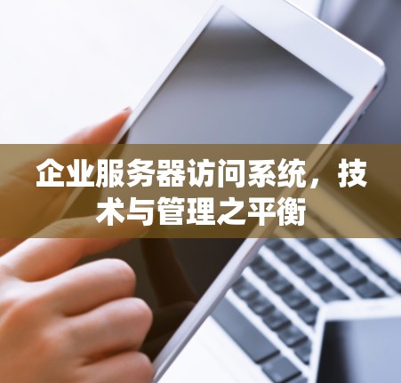 企业服务器访问系统，技术与管理之平衡