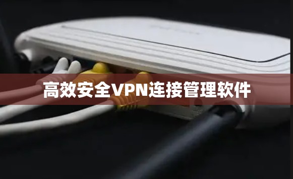 高效安全VPN连接管理软件
