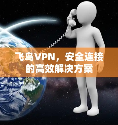 飞鸟VPN，安全连接的高效解决方案