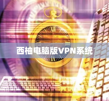 西柚电脑版VPN系统