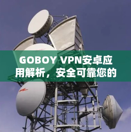 GOBOY VPN安卓应用解析，安全可靠您的选择