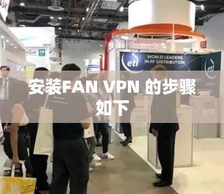 安装FAN VPN 的步骤如下