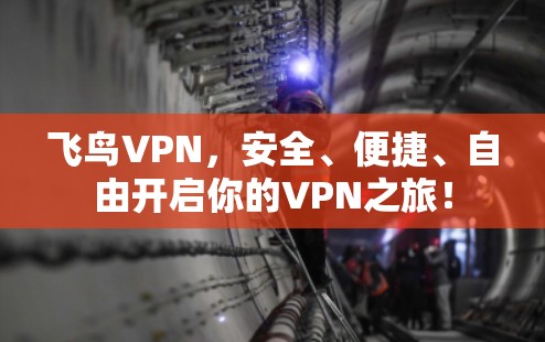 飞鸟VPN，安全、便捷、自由开启你的VPN之旅！