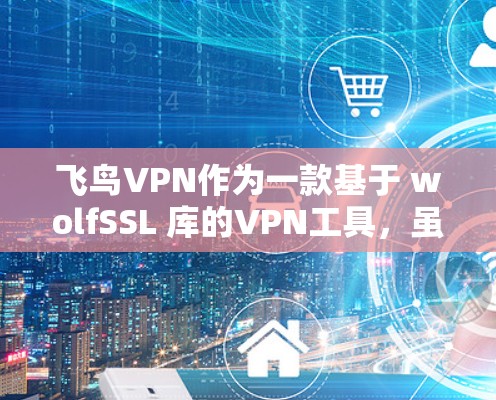 飞鸟VPN作为一款基于 wolfSSL 库的VPN工具，虽然功能强大，但其性能和安全方面可能存在一定的局限性。以下是对飞鸟VPN性能和安全性的详细分析