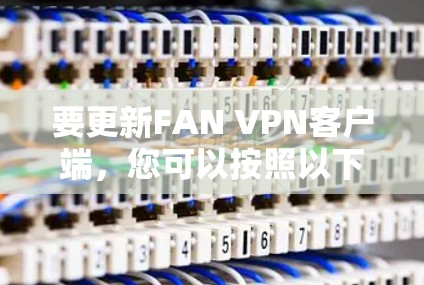 要更新FAN VPN客户端，您可以按照以下步骤进行操作