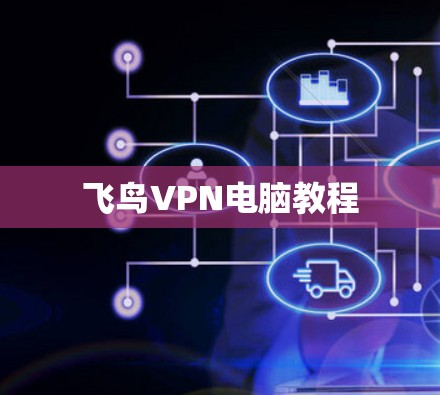 飞鸟VPN电脑教程