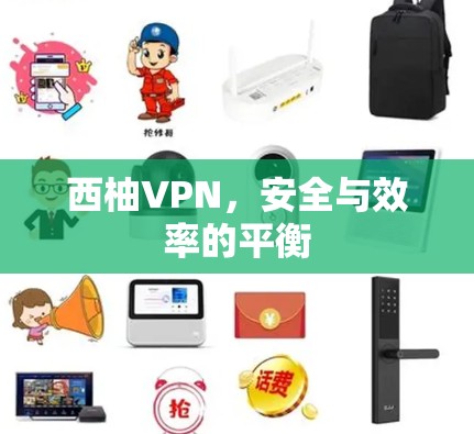 西柚VPN，安全与效率的平衡