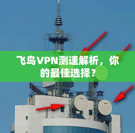 飞鸟VPN测速解析，你的最佳选择？