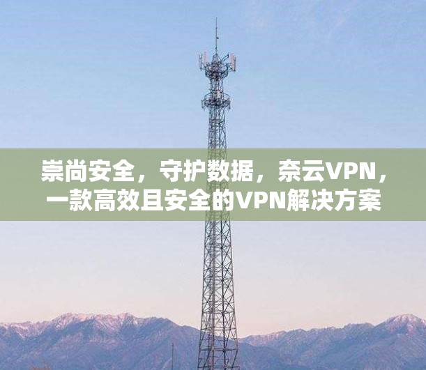 崇尚安全，守护数据，奈云VPN，一款高效且安全的VPN解决方案