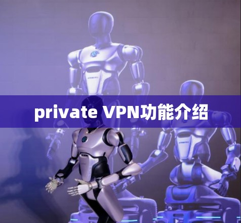 private VPN功能介绍
