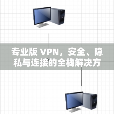 专业版 VPN，安全、隐私与连接的全栈解决方案