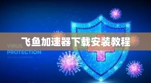 飞鱼加速器下载安装教程