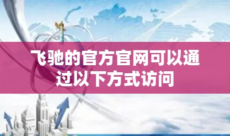 飞驰的官方官网可以通过以下方式访问