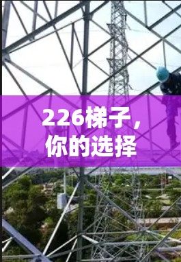 226梯子，你的选择