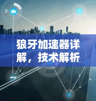 狼牙加速器详解，技术解析与实际应用