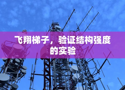 飞翔梯子，验证结构强度的实验