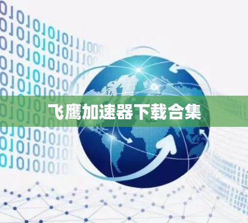 飞鹰加速器下载合集