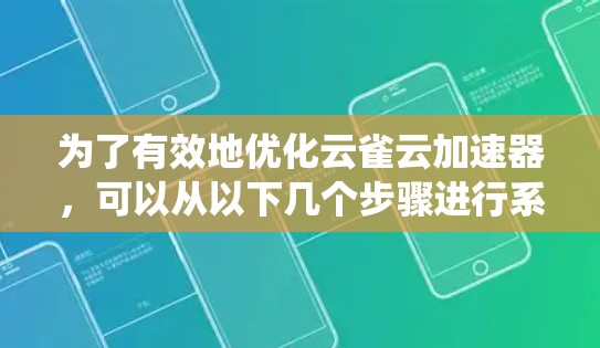 为了有效地优化云雀云加速器，可以从以下几个步骤进行系统性地改进