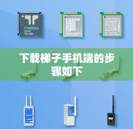 下载梯子手机端的步骤如下