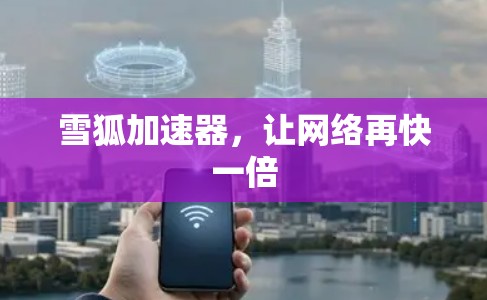 雪狐加速器，让网络再快一倍