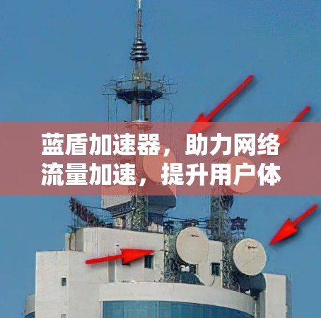 蓝盾加速器，助力网络流量加速，提升用户体验