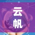 云帆云加速器，通信工程师必用加速器指南