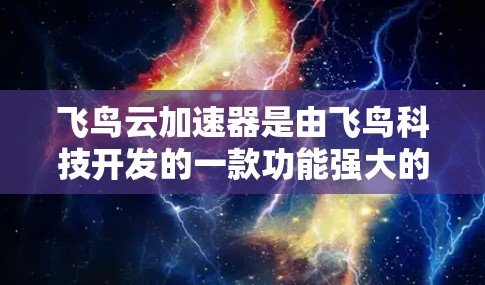 飞鸟云加速器是由飞鸟科技开发的一款功能强大的加速工具，主要用于加速网页浏览和下载。它支持多种加速模式，包括网页模式、视频模式、音频模式等，满足不同用户的需求。以下是飞鸟云加速器的几个最新版本及其特点