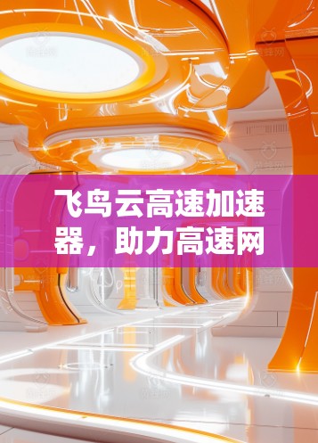 飞鸟云高速加速器，助力高速网络的高效传输