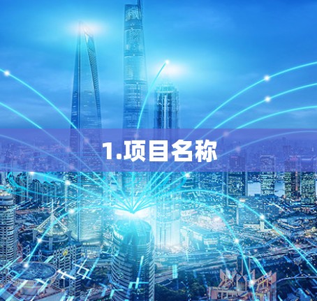 1.项目名称