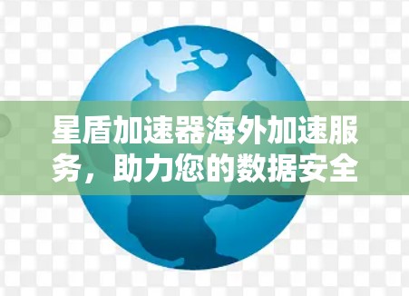 星盾加速器海外加速服务，助力您的数据安全与高效传输