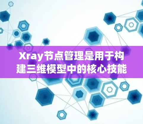 Xray节点管理是用于构建三维模型中的核心技能，涵盖创建、连接和配置节点的各个方面。以下是对Xray节点管理的关键点