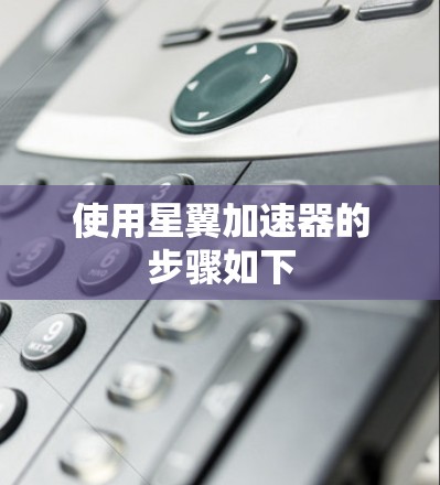 使用星翼加速器的步骤如下