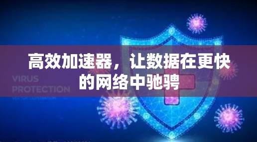 高效加速器，让数据在更快的网络中驰骋