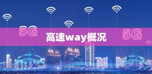 高速way概况