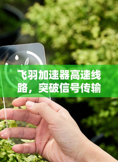 飞羽加速器高速线路，突破信号传输的创新解决方案