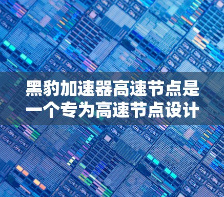黑豹加速器高速节点是一个专为高速节点设计的加速器产品，旨在提高处理大量数据和实时流量的速度。以下是关于该加速器的详细信息和分析
