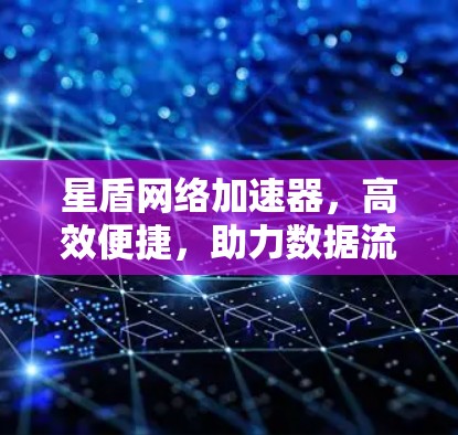 星盾网络加速器，高效便捷，助力数据流量最大化
