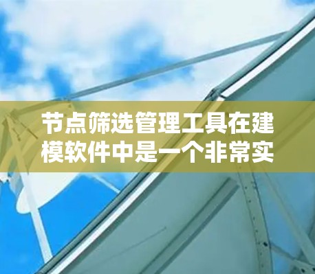 节点筛选管理工具在建模软件中是一个非常实用的功能，帮助用户快速定位所需节点，优化模型。以下是对这些工具的详细介绍
