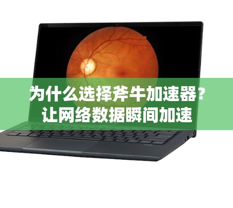 为什么选择斧牛加速器？让网络数据瞬间加速