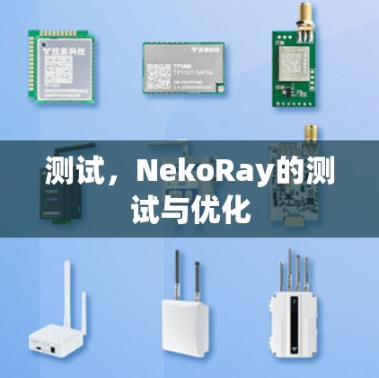 测试，NekoRay的测试与优化