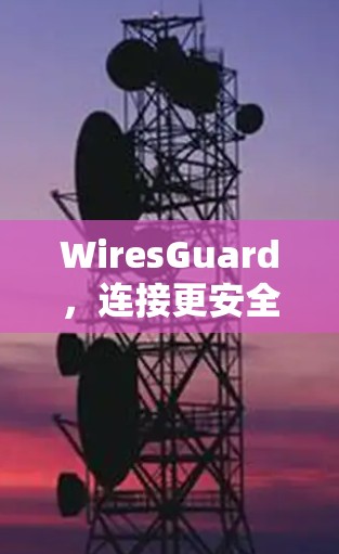WiresGuard，连接更安全的未来